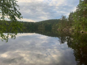 Rauhallinen mökki luonnon keskellä. Orivesi